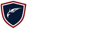 Hawk-Eye Solutions
